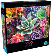 Load image into Gallery viewer, Buffalo Games - Simple Succulent - 1000 Piece Jigsaw Puzzle Brain Blacksmith
