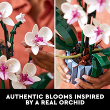 Load image into Gallery viewer, LEGO Orchid Plant Decor Building Set (608 Pieces) Brain Blacksmith
