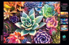 Load image into Gallery viewer, Buffalo Games - Simple Succulent - 1000 Piece Jigsaw Puzzle Brain Blacksmith
