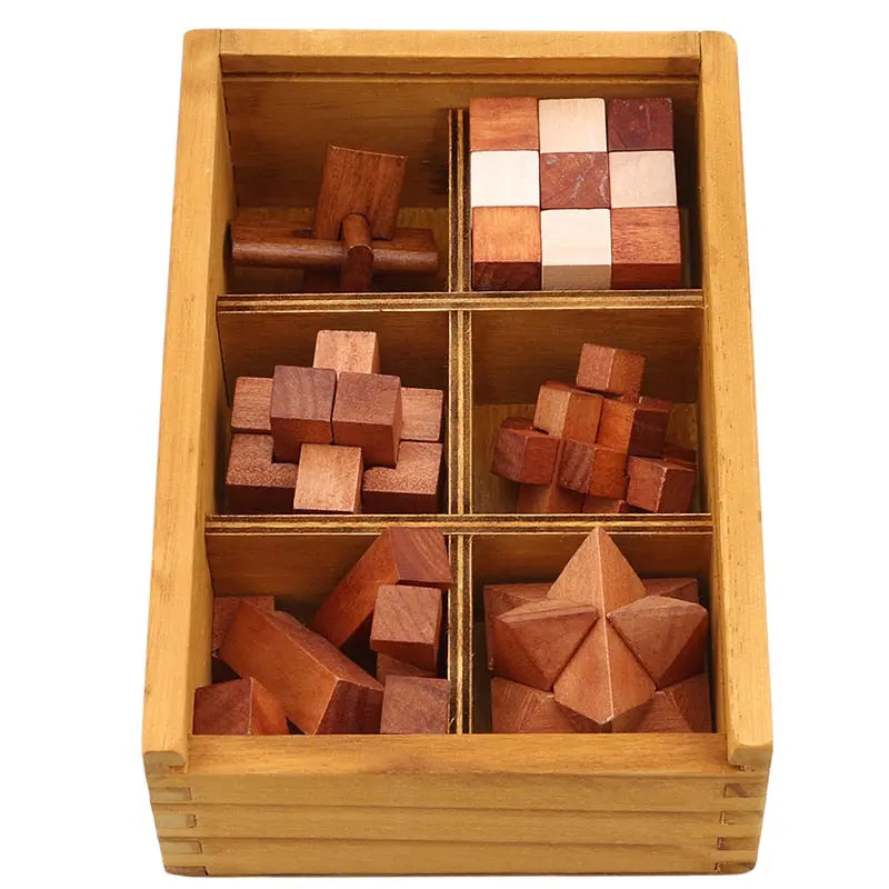 Beautiful Wooden Brain Teasers Box 5PCS (3.5 Difficulty) Brain Blacksmith