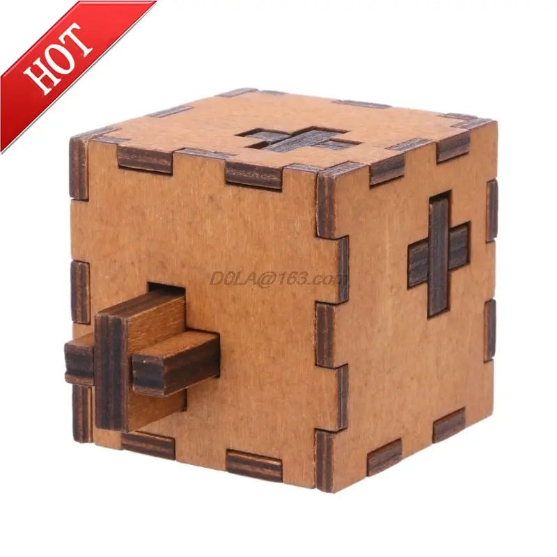 NEW Switzerland Box Puzzle (4.5 Difficulty) Brain Blacksmith